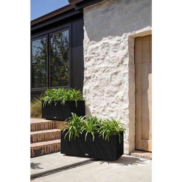dracaena janet craig Dracaena 'Janet Craig' 2.25