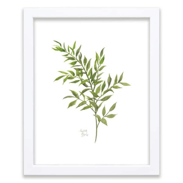 Unbranded Nature's Lace 1 "Italian Ruscus" by Alyssa Lewis Individual White Framed Nature Art Print 24 in. x 18 in.