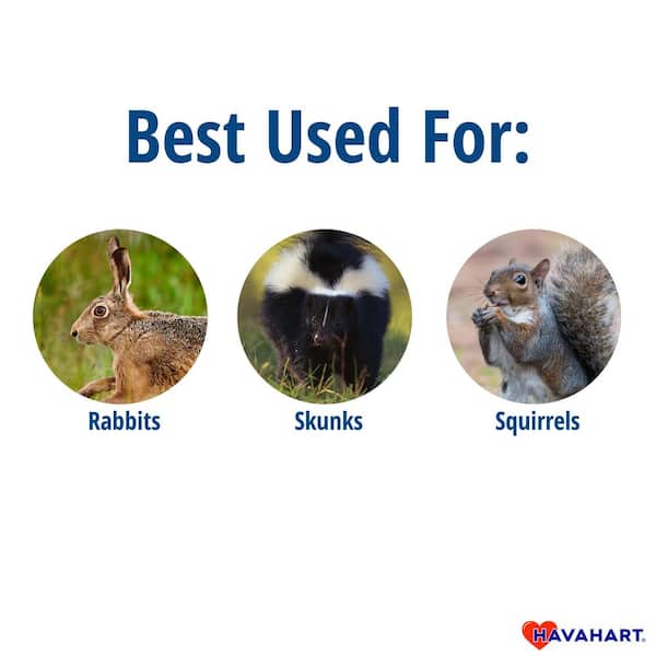 Havahart Live Animal Trap — Rabbit and Squirrel
