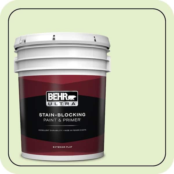 BEHR ULTRA 5 gal. #420C-2 Water Sprout Flat Exterior Paint & Primer