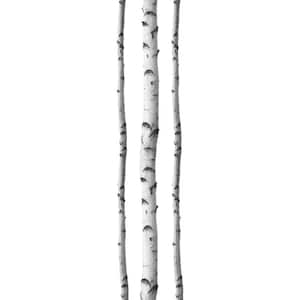 Silver Birches Wall Decal