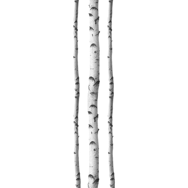 WallPops Silver Birches Wall Decal