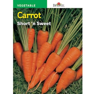 Carrot Short 'N Sweet Seed