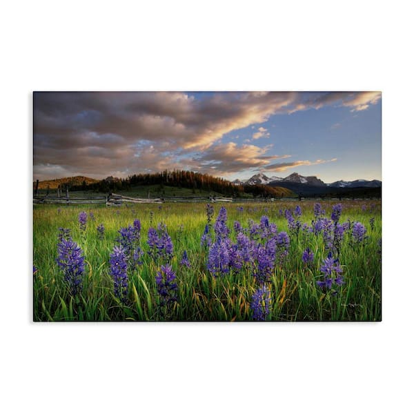 Stupell Industries Lavender Bloom Meadows by Alan Majchrowicz Unframed Nature Graphic Art Print 24 in. x 36 in.