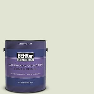 1 gal. #MQ3-46 Folly Ceiling Flat Interior Paint with Primer