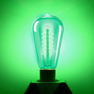 40-Watt Equivalent ST58 Green Dimmable E26 Vintage Edison Incandescent-Light Bulb for Halloween Christmas (8-Pack)