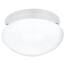 Seagull Lighting 5326-15 Ceiling Fixtures