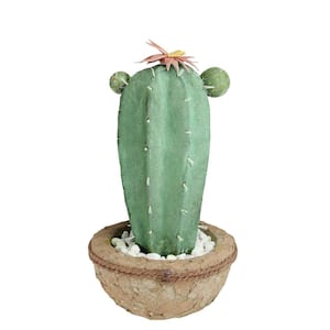 13.75 in. Green and Brown Southwestern Style Potted Artificial Cactus with Flowers