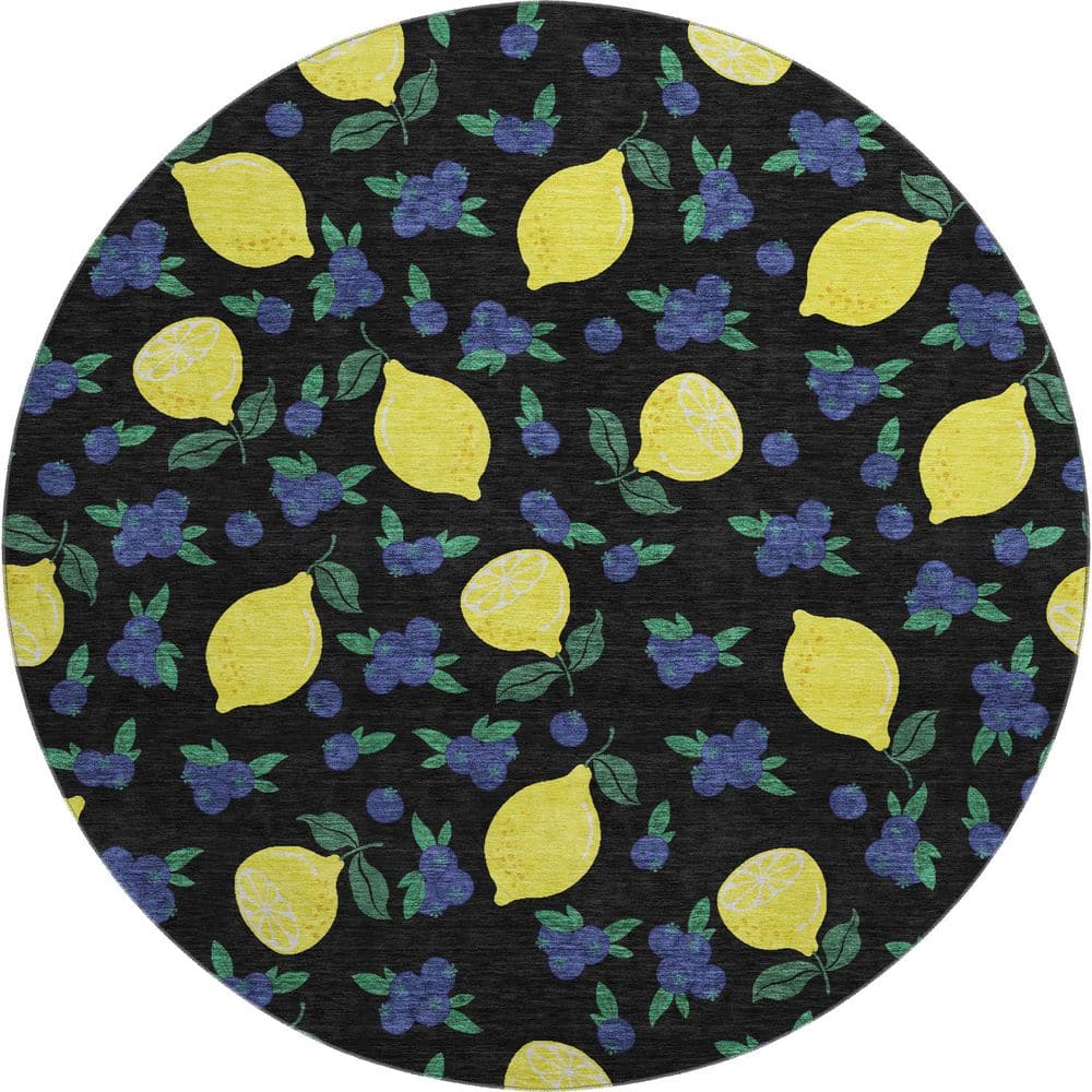 Mayfield Premium Machine Washable Abstract AMF2354 Black 8 ft. x 8 ft. Round Rug price history on PriceWatchPro