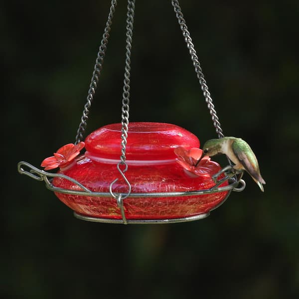 Hanging Sphere Hummingbird Feeder Modern Black with Red Nectar Top 