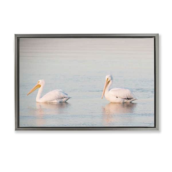 Stupell Industries Pelicans on Calm Waters by Danita Delimont Gray Floater Frame Animal Graphic Art Print 17 in. x 25 in.
