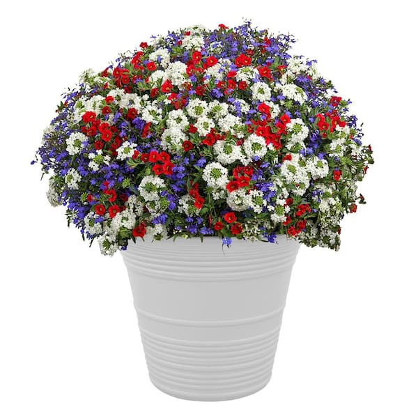 Sedona 16 in. Plastic White Planter