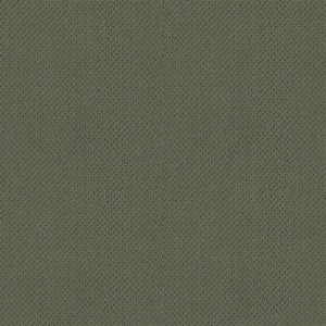 Lightbourne - Greenhouse - Green 39.3 oz. Nylon Loop Installed Carpet