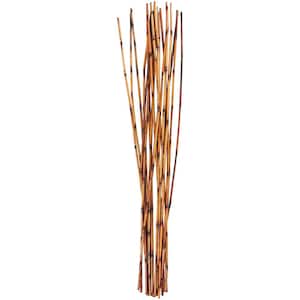 41 in. Tall Stick Sticks Natural Foliage (1 Bundle)