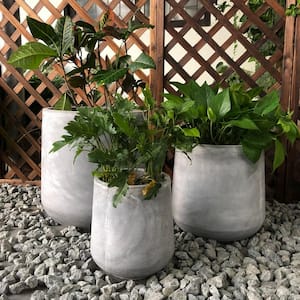 Lightweight Concrete Footed Tulip Light Grey Planter (Set of 3)