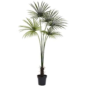 7 ft. Artificial UV Resistant Indoor/Outdoor Fan Palm Tree