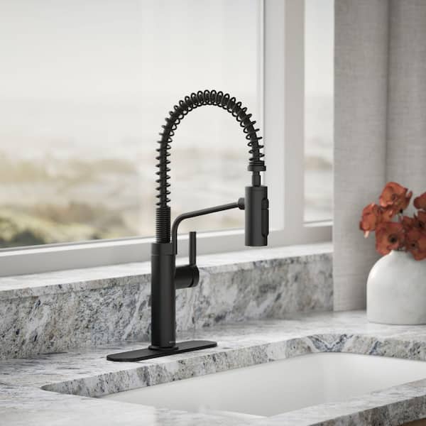 Ringby Single Handle 3-Function Pull Down Sprayer Kitchen Faucet In Matte Black