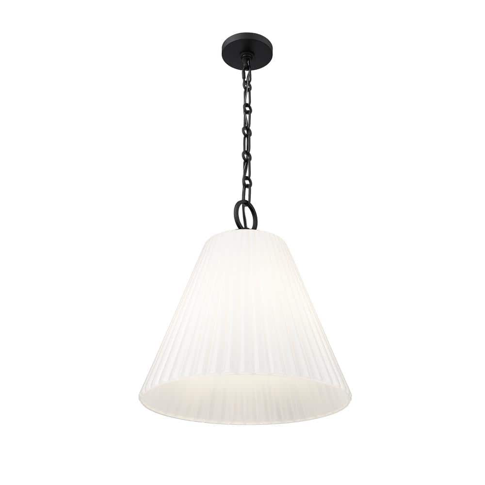 Matte Black 18" Modern Glass Pendant Light