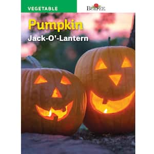 Pumpkin Jack-O'-Lantern Seed