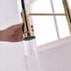 brushed-gold-boyel-living-pull-down-kitchen-faucets-bmis2252ng-1d-4f.5