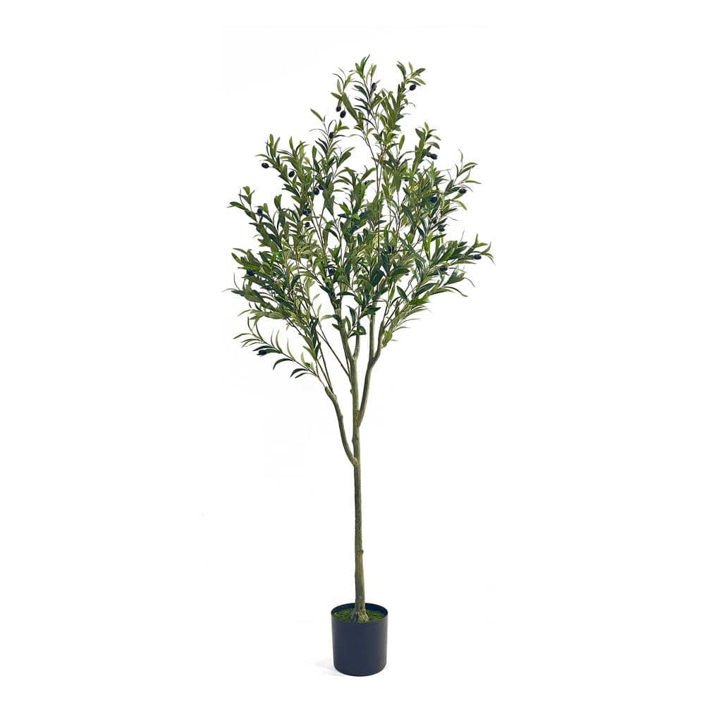 6 ft. Artificial Olive Tree in Pot for Indoor Decor