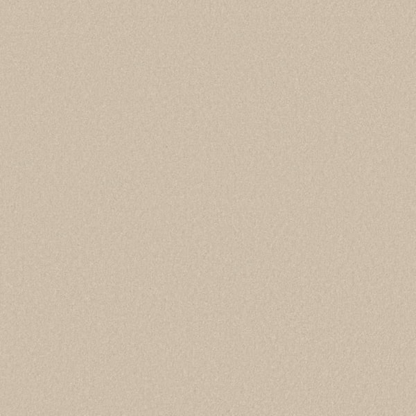 8 in. x 8 in. Texture Carpet Sample-Park Royal II-Color Craft Paper