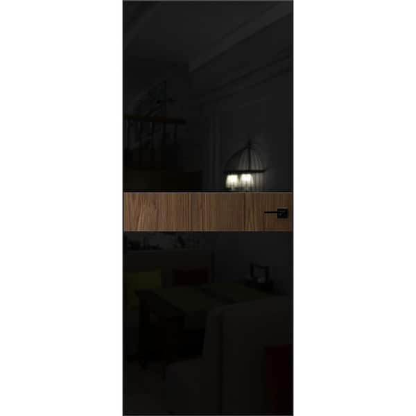 30 in. x 80 in. Unassembled Left-Hand/Inswing Solid Core Sahara Black Flush Mount Hidden Door with Silver Hinge Finish