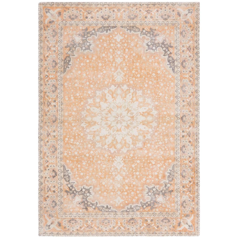 Restoration Vintage 3 ft. x 5 ft. Rust/Orange Ornate Border Area Rug price history on PriceWatchPro