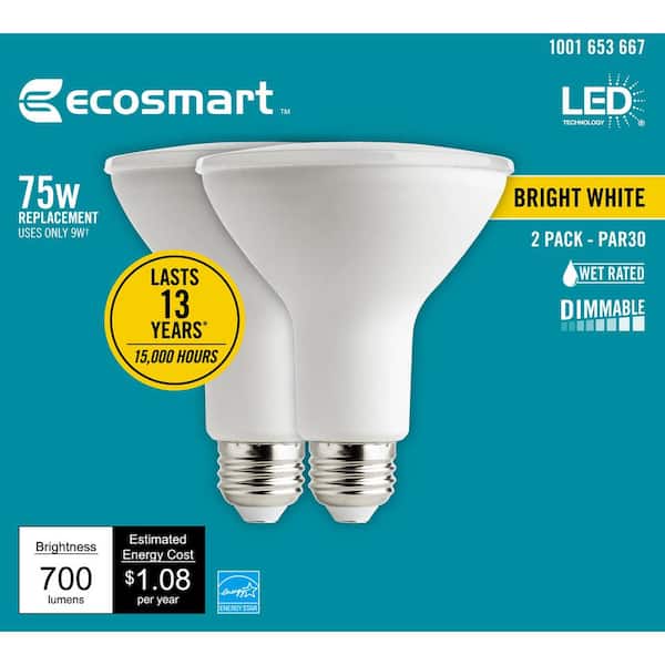 LUXRITE 75-Watt Equivalent PAR30 Dimmable LED Light Bulb Wet Rated 11-Watt  Dimmable 3000K Soft White (4-Pack) LR31606-4PK - The Home Depot