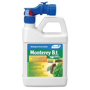 Monterey B.T.