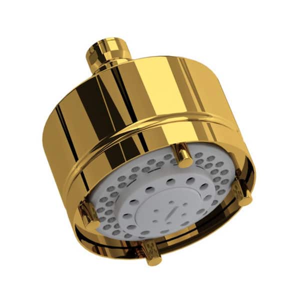 ROHL 5-Spray Patterns 3.88 in. Wall Mount Fixed Showerhead in Unlacquered Brass