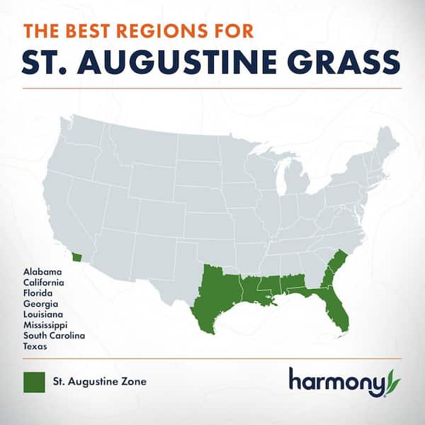 500 sq. ft. St. Augustine Sod (1-Pallet)