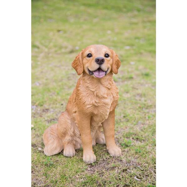 Golden retriever dog outdoor portrait, beautiful adult golden