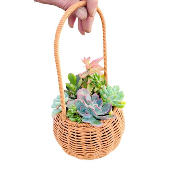 Succulent Cut Flower Planter Wicker Brown Basket for Indoor Gardening, Outdoor Use,Decorative Garden Container