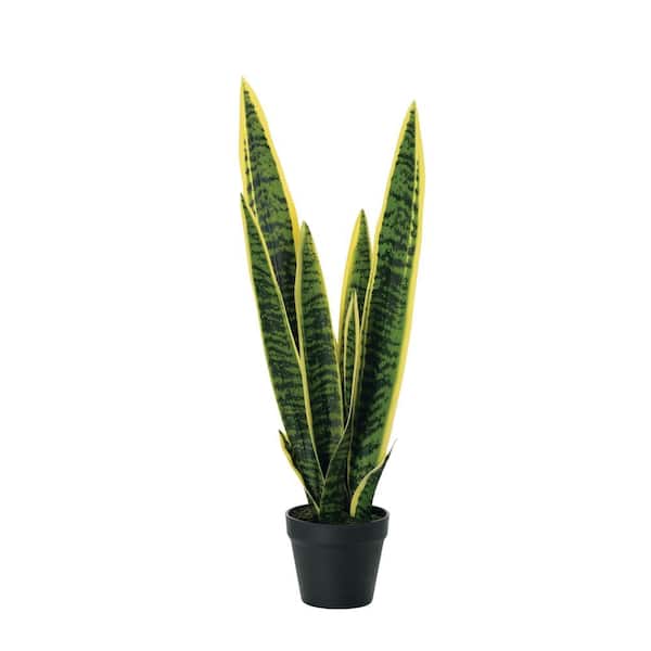 SULLIVANS 2 ft. Artificial 2 ft. Sansevieria Tree Plant in Pot