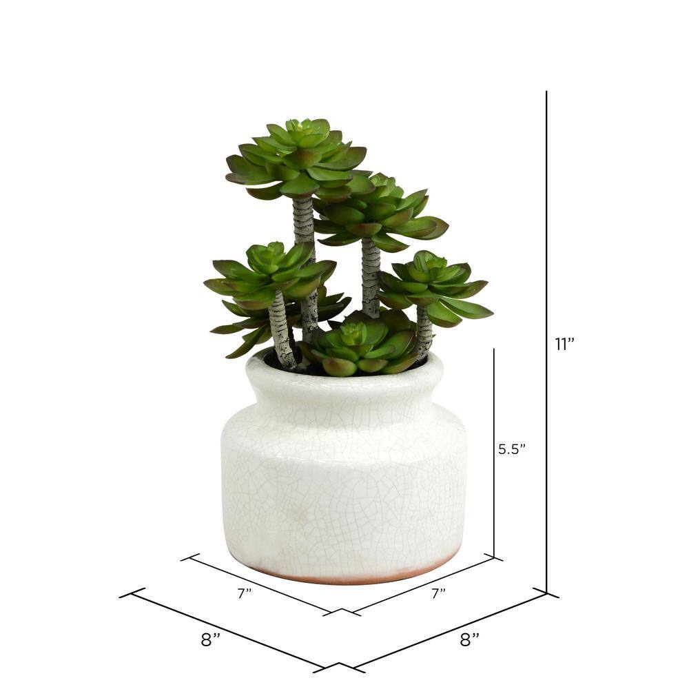 11" Green Faux Succulent in White Ceramic Pot