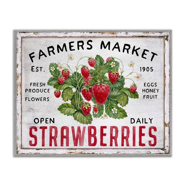 Stupell Industries Farmers Market Strawberries by Creatif Belle Gray Framed Food Giclee Art Print 16 in. x 20 in.