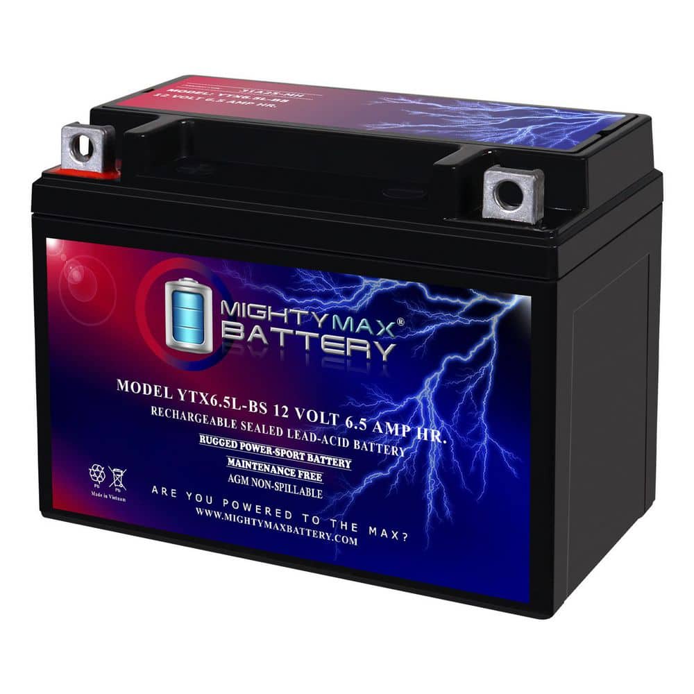 MIGHTY MAX BATTERY YTX6.5L-BS 12-Volt 6.5AH Replacement Battery