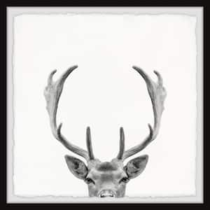 "Giant Antlers" by Marmont Hill Framed Animal Art Print 12 in. x 12 in.