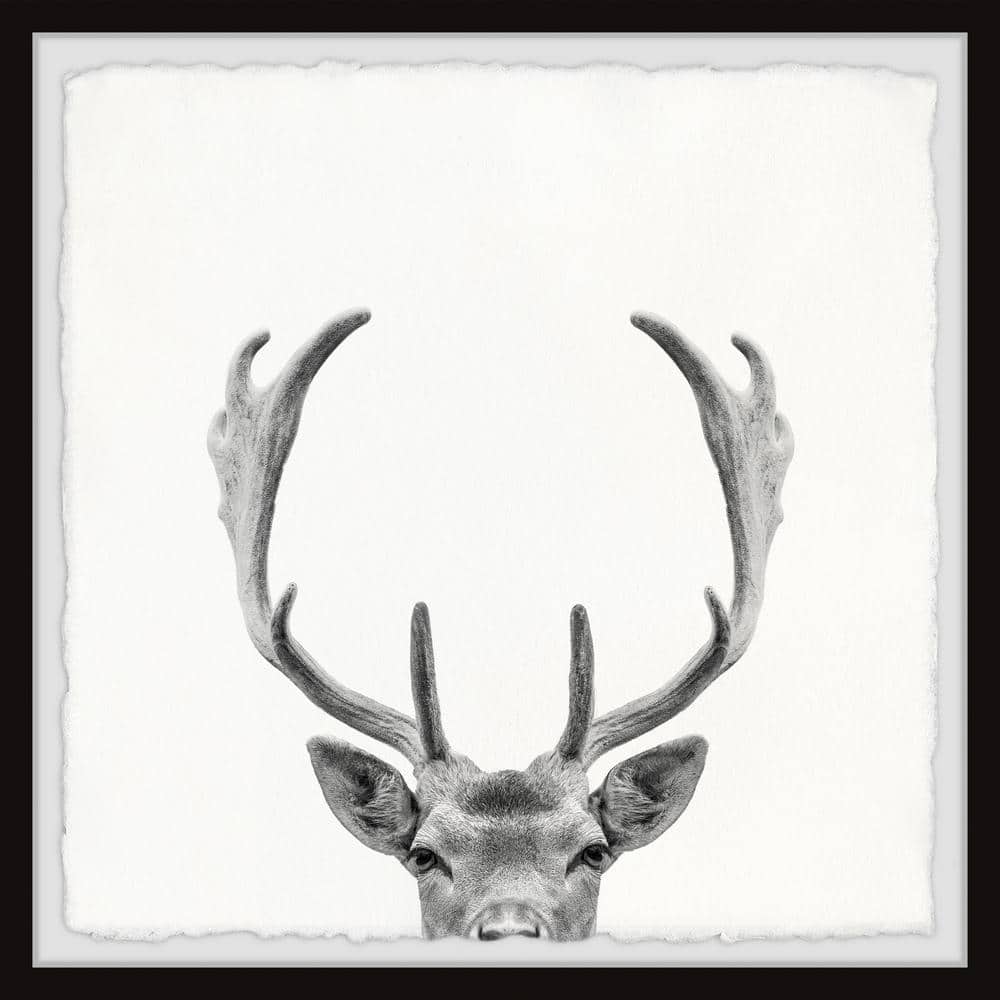 Giant Antlers by Marmont Hill Framed Animal Art Print 18 in. x 18 in.