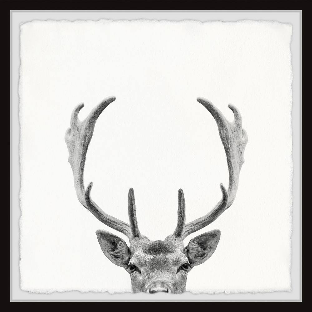 Giant Antlers by Marmont Hill Framed Animal Art Print 24 in. x 24 in.