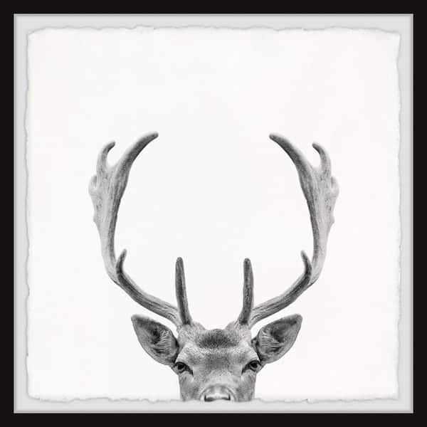 Unbranded "Giant Antlers" by Marmont Hill Framed Animal Art Print 24 in. x 24 in.