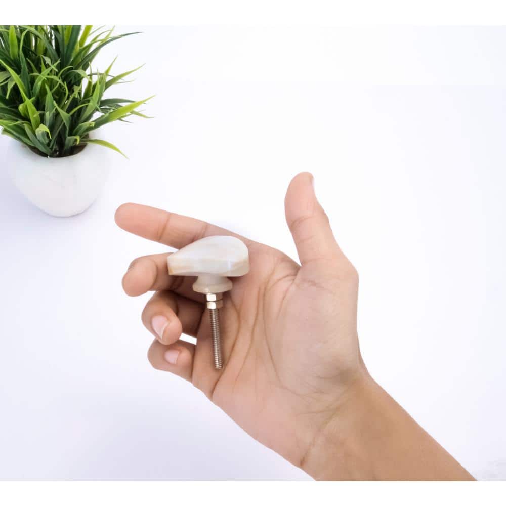 Eclipse Cream Round Novelty Drawer Cabinet Knob with Mounting Hardware
