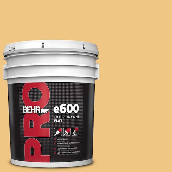 BEHR PRO 5 gal. M2904 Garbanzo Paste Flat Paint PR61005 The Home Depot