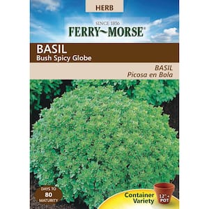 Basil Bush Spicy Globe Seed