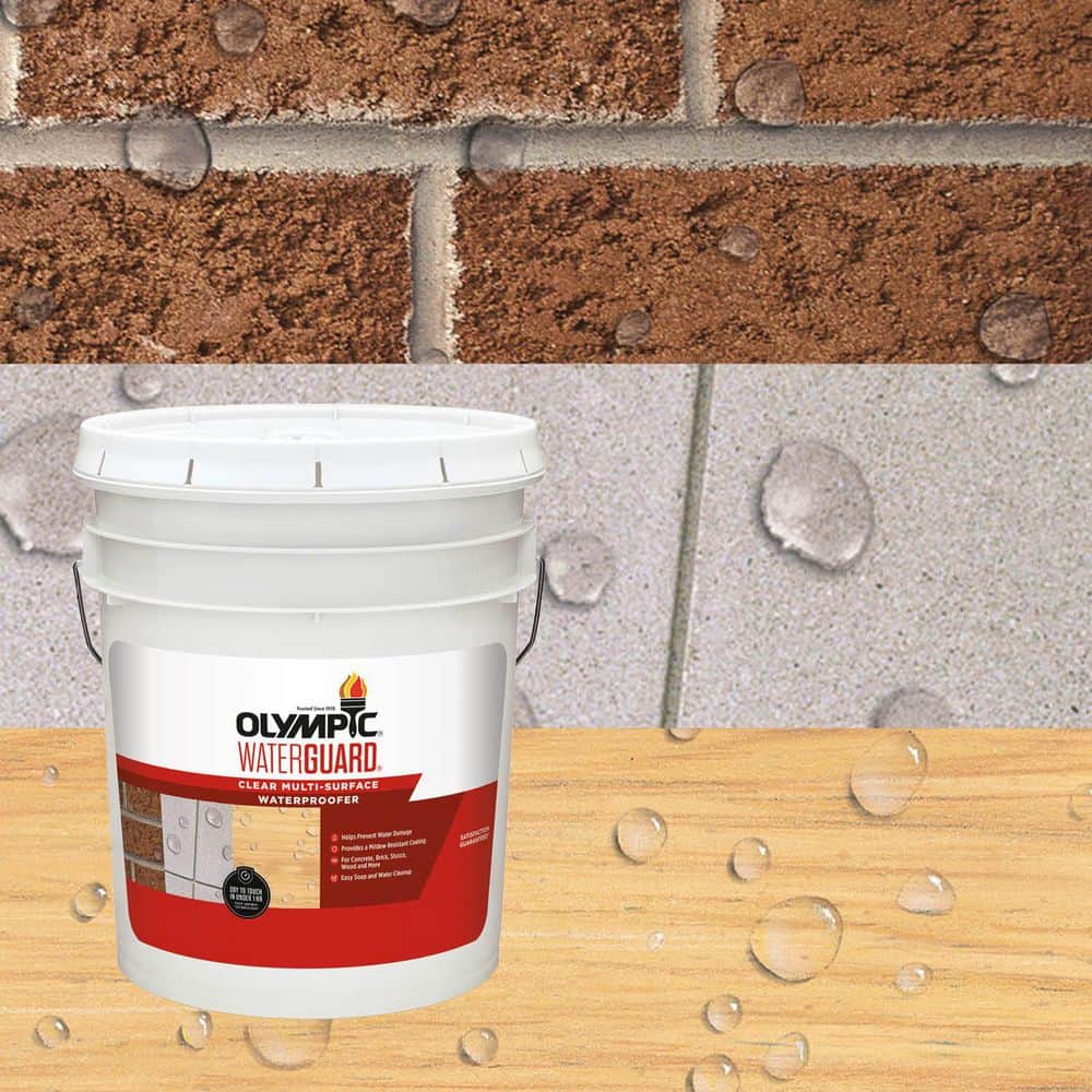 Olympic WaterGuard 5 gal. Clear Multi-Surface Exterior