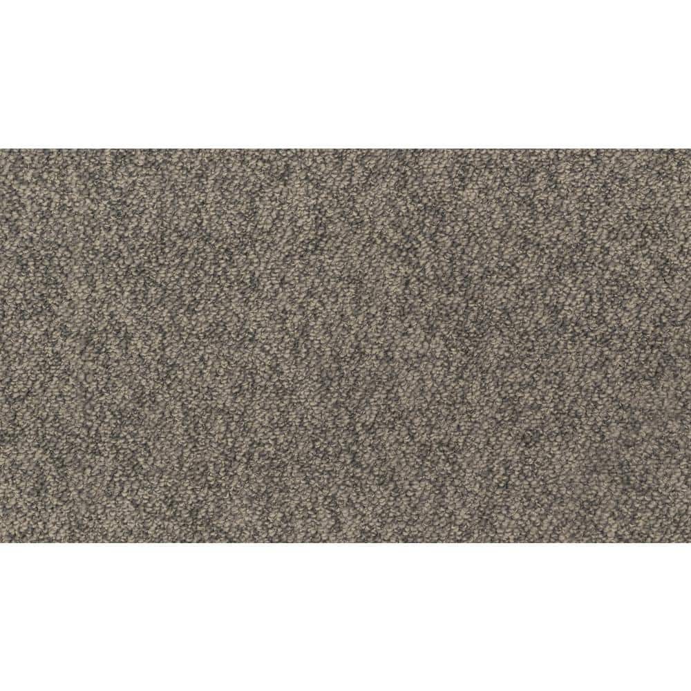 Reviews for TrafficMaster Carpet Sample Hanville Color Rocky Ridge
