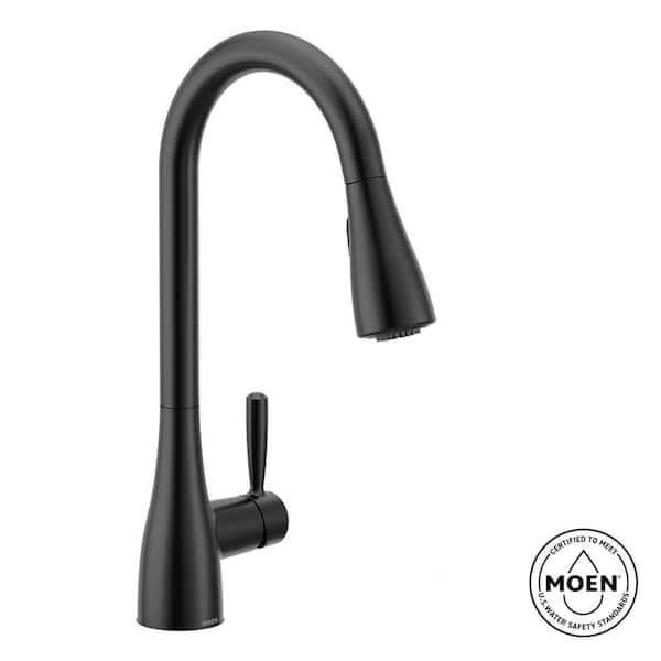 Doherty Single Handle Pull-Down Sprayer Kitchen Faucet with Power Clean and Reflex in Matte Black