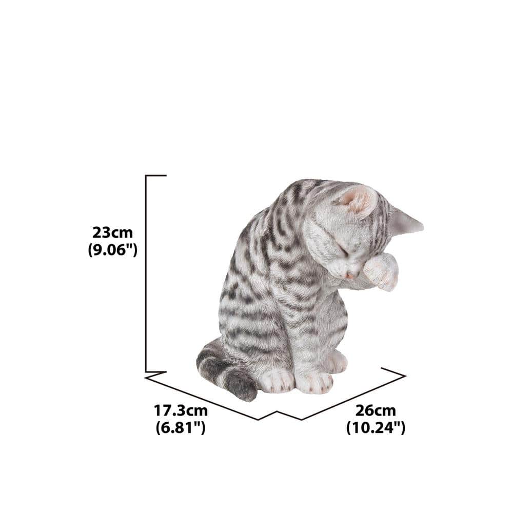 Gray Poly-resin American Shorthair Cat Washing Statue