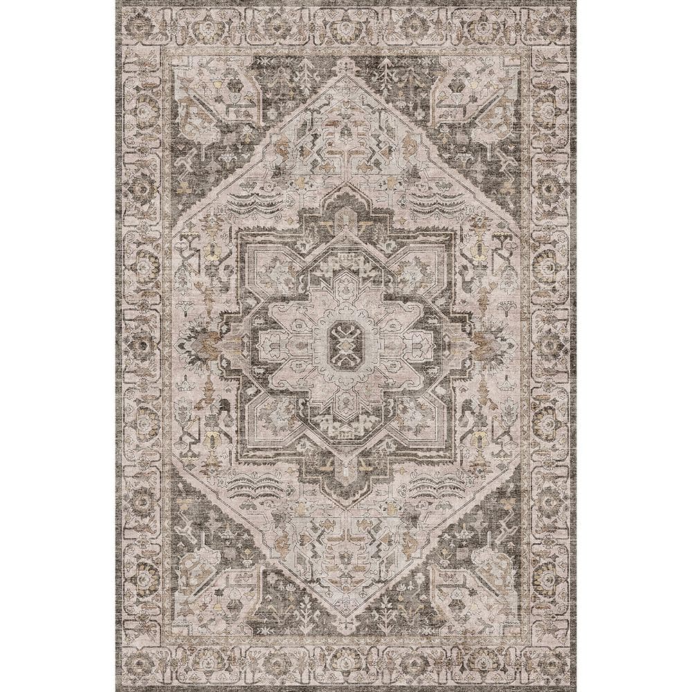 Datura Brown 4 ft. x 6 ft. Oriental Vintage Medallion Area Rug price history on PriceWatchPro